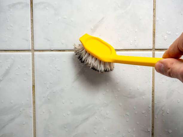 Best Commercial Mold Removal  in Sea Bright, NJ
