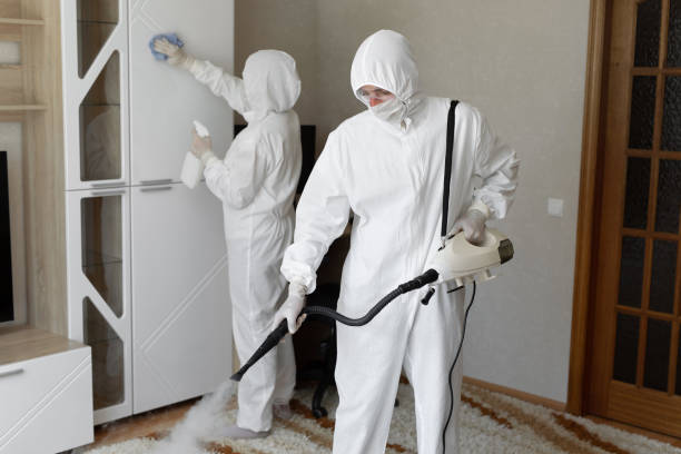 Best Mold Damage Repair  in Sea Bright, NJ