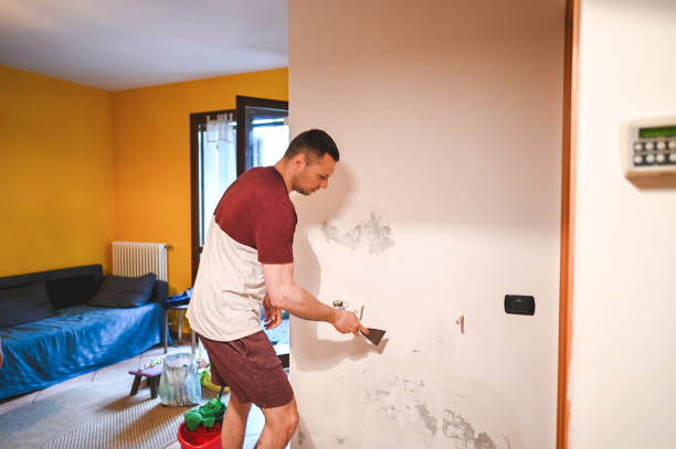 Best Crawl Space Mold Removal  in Sea Bright, NJ